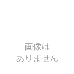 【紋替　別途料金2320円】染め抜き紋。